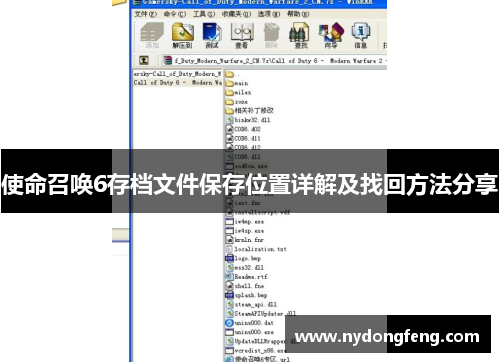 使命召唤6存档文件保存位置详解及找回方法分享